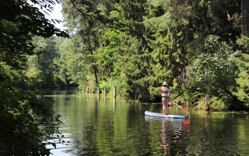 Circumspectum ut omnes set terrarum et suffragiorum tamen terrarum et